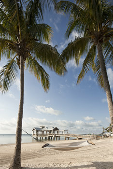 Hotel Reach Resort