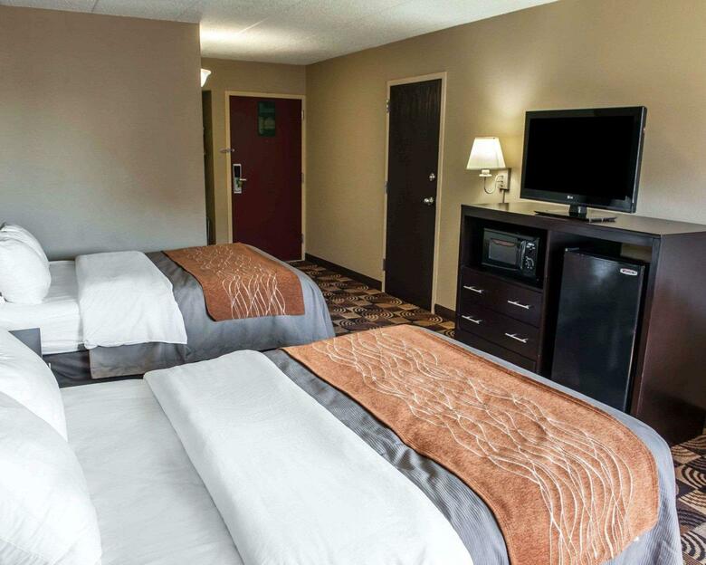 Hotel Comfort Inn & Suites North At The Pyramids