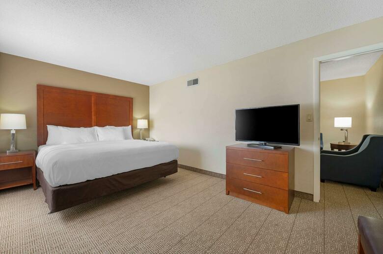 Hotel Comfort Inn & Suites North At The Pyramids