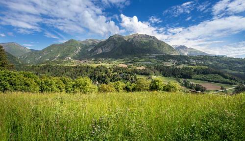 Hotel Flora