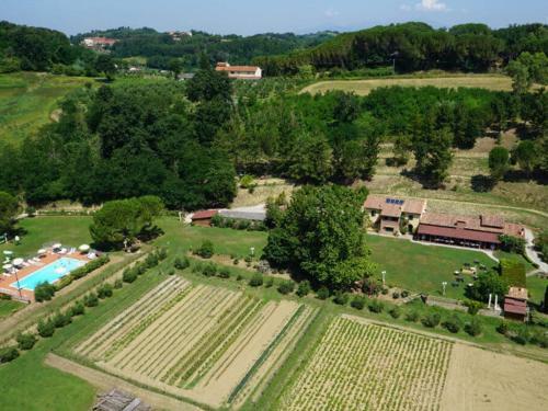 Agroturismo Agriturismo Podere Bucine Basso