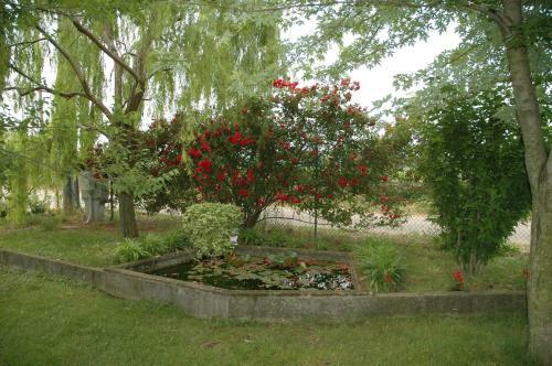 Bed & Breakfast Rose Rosse
