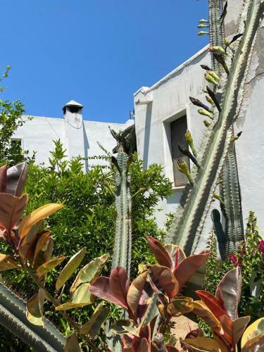 Bodrum G�m�?l�k Rental Villa