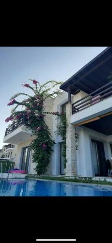L�ks M�stakil Villa