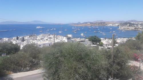 Apartamento Mert Homes