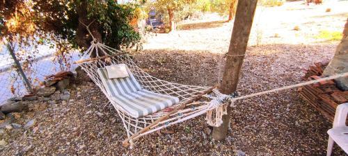 Apartamento Peaceful, Central Organic Life 1br, 4ppl Fast Wifi