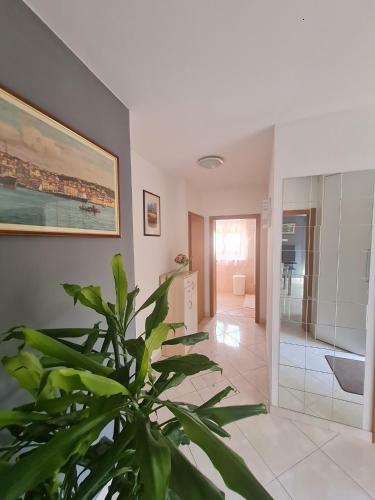 Apartamento Stanovanje V Mirni Zeleni Okolici