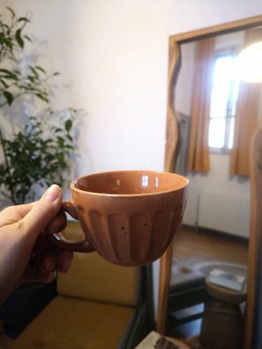 Apartamento Codicei Studio