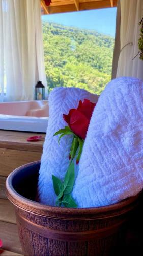 Hostal Cabana Aconchego