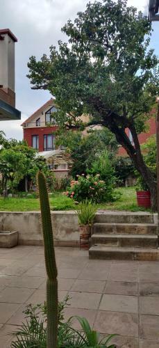 Studio Apartment Lemoine