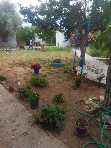 Afroditi Pansiyon
