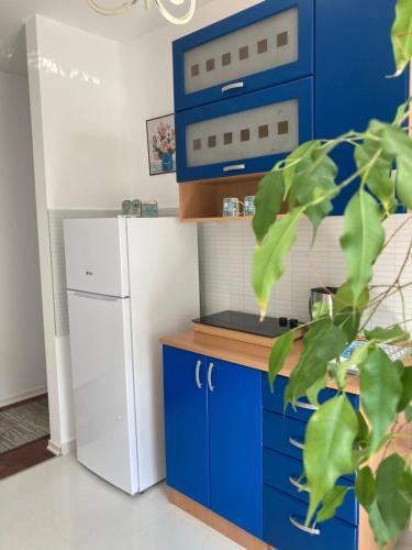 Apartamento Nika