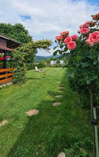 Hostal Casa Ursului