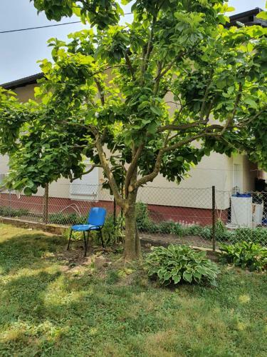 Hostal Villa Peruzzi