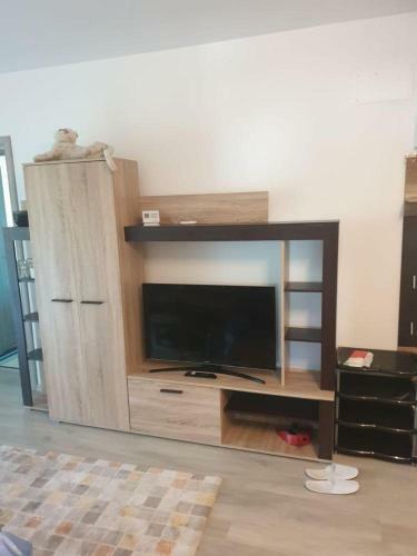 Cazare �n Bu?teni - Apartament 3 Camere
