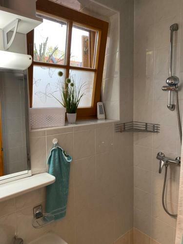 Apartma Trobentica 23 Moravske Toplice