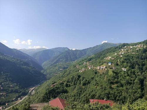 Bed & Breakfast Villa Pamuklu