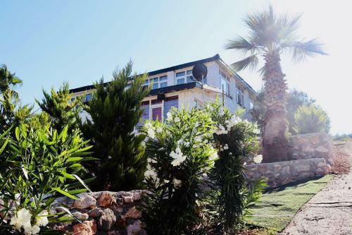 Villa Millions