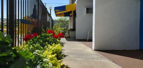 Sea Hawk Motel