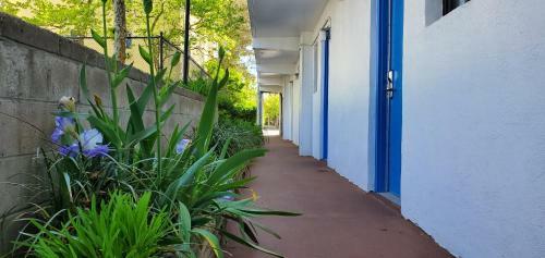 Sea Hawk Motel