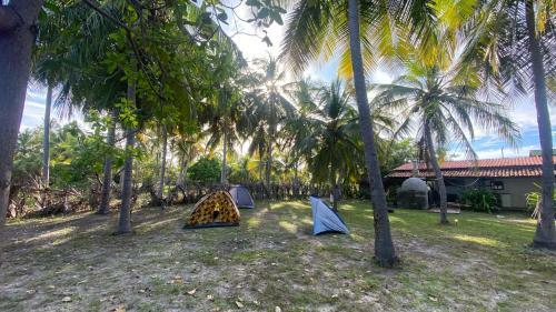 Camping Venturi