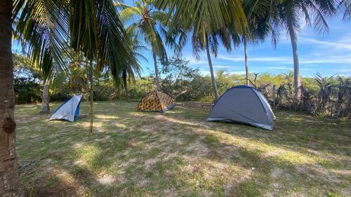 Camping Venturi