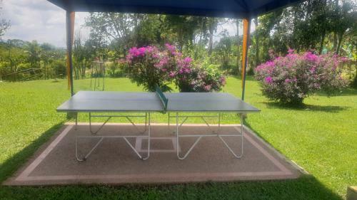Finca Hotel Campestre La Paloma Cootur