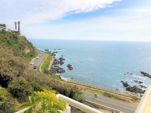 Apartamento Amplio Depto Con Vista A Playa Lilenes