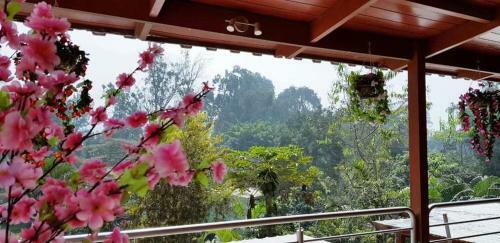 Casa Las Begonias