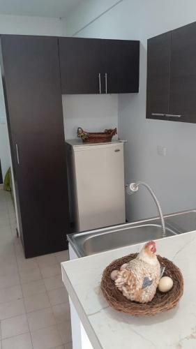 Apartaestudio Ubicaci�n Estrat�gica