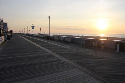 Safari Motel Boardwalk