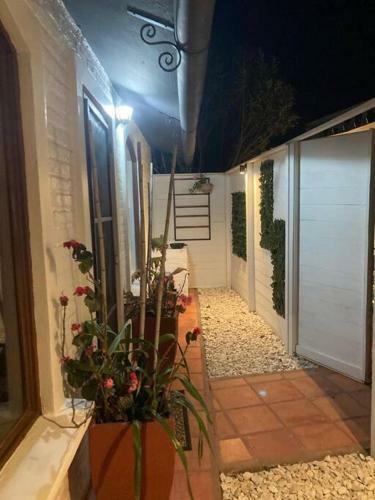 Casa de Hu�spedes En Un Amplio Ambiente �nico