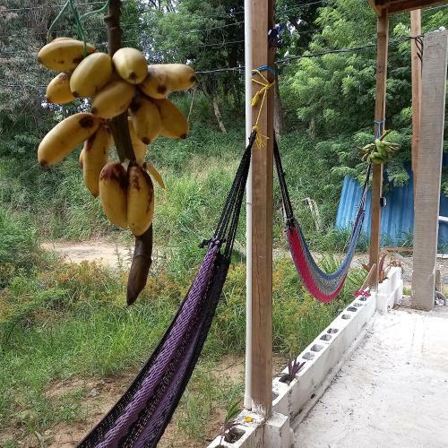 Apartamento Roatan Room Private