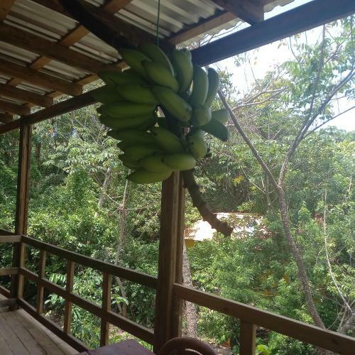 Apartamento Roatan Room Private