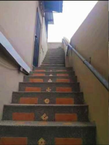 Galo Residencia
