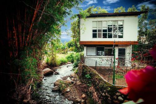 Rainforest Cabin In Escazu. Best Of Both Words