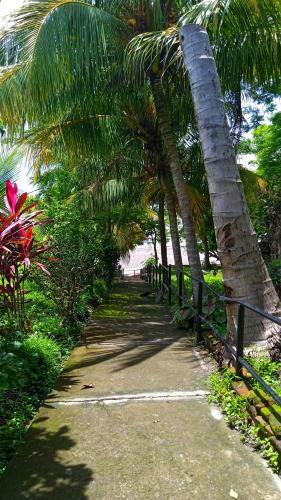 Hostal Costa Azul Hostel Ometepe