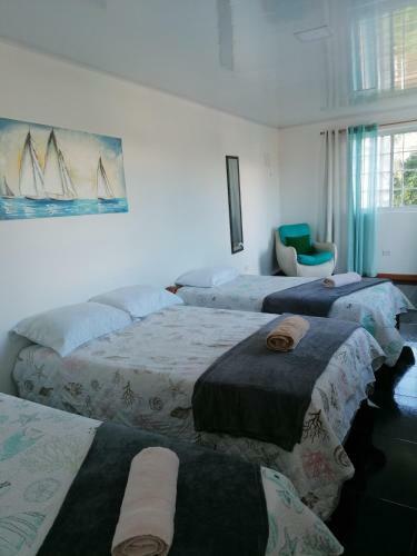 Apartamento New Experience