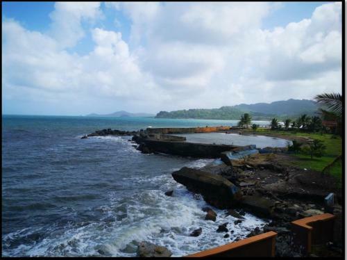 Under The Caribbean Sun... Bajo El Sol Caribe�o