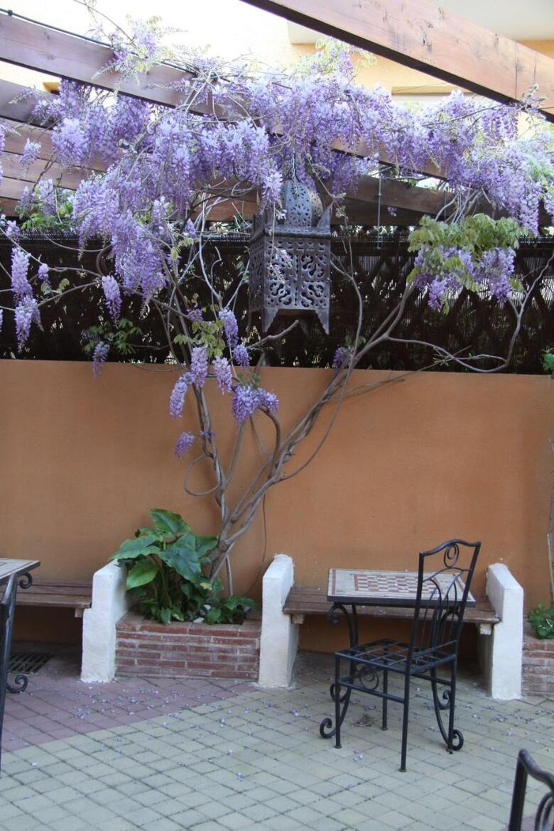 Logis Hotel De La Clape