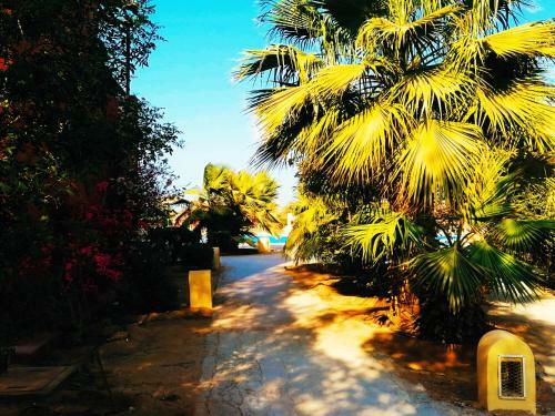 Apartamento El Gouna ??????