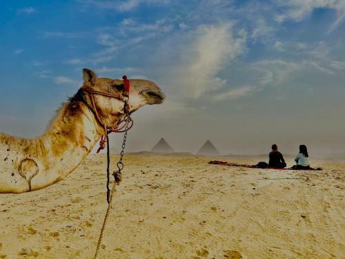 Hostal Pyramids Top Success Result