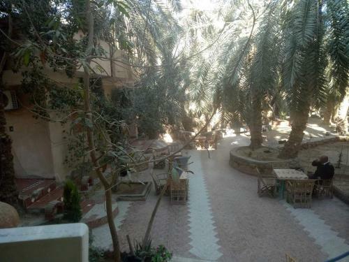 Apartamento Palm Trees Hotel