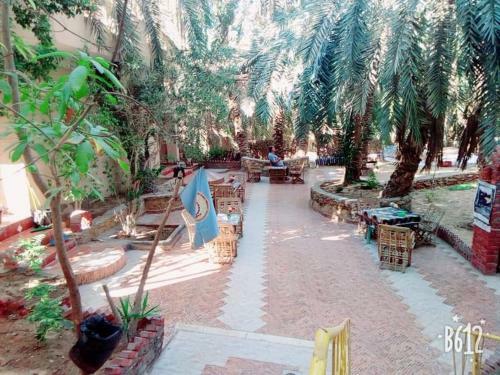 Apartamento Palm Trees Hotel