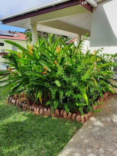 Apartamento Emma's Guest House And Self-catering
