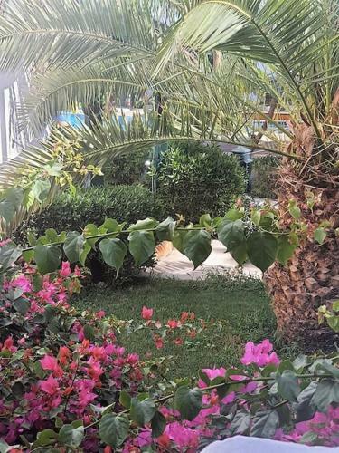 Apartamento Delta Sharm Studio, 50m2 Pool View, Wifi - No Fees B80108