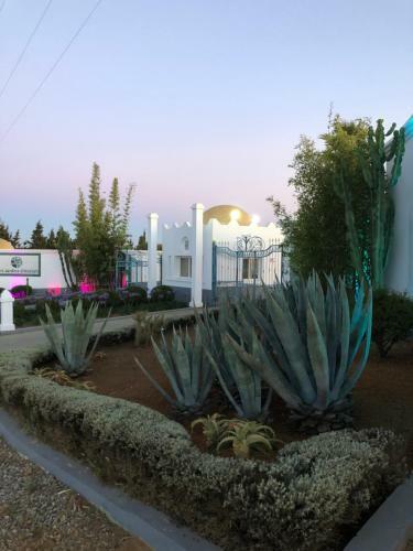 Apartamentos Asilah Prestige