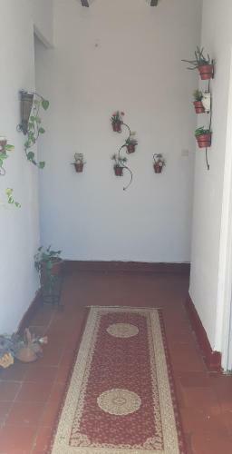 Apartamento Hafida