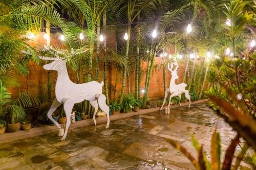 Bed & Breakfast Nzuki House