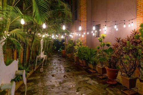 Bed & Breakfast Nzuki House